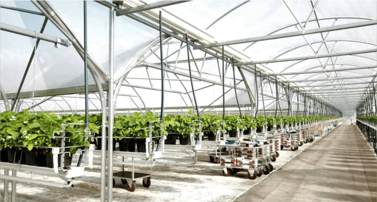 Lorem ipsum dolor sit amet, consectetuer